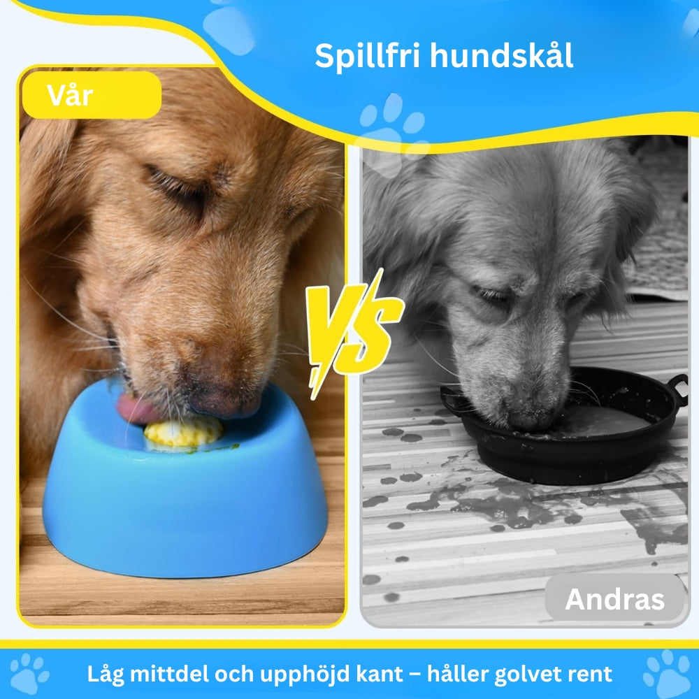 Portabel och halkfri hundslicksskål